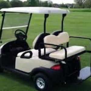Golf Cart And NEV Market 