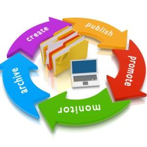 Web Content Management Market 