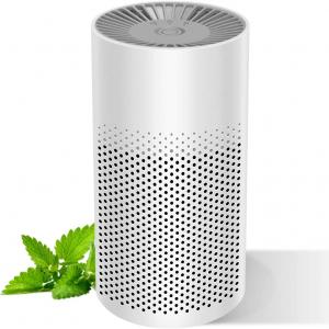 Air Cleaner Market