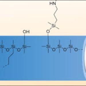 Antibacterial Coating Market
