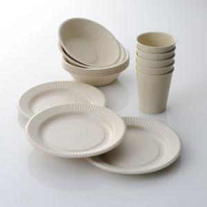 Biodegradable Tableware Market