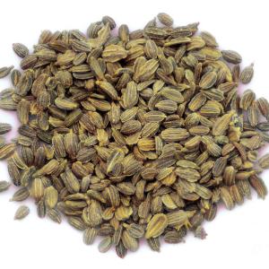 Carrot Seed Market