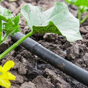 Drip Irrigation Market