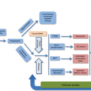 EGFR-TKI For Advanced NSCLC Market