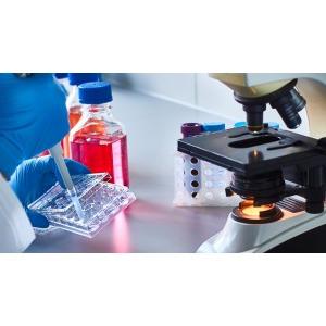 Low Endotoxin Gelatin Market