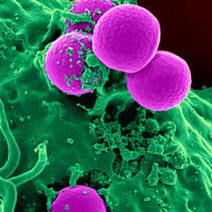 Methicillin-Resistant Staphylococcus Aureus (MRSA) Treatment Market