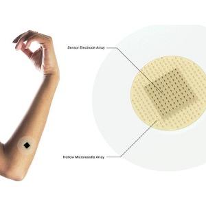 Microneedle Drug Delivery Systems Market