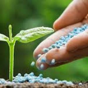 Phosphate Fertilizer Market