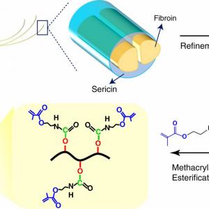 Silk Fibroin Market