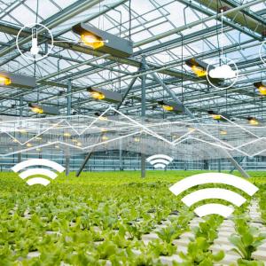 Smart Greenhouse Market