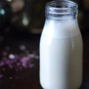 Tigernut Milk Market