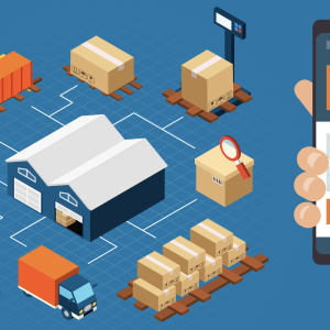 Transportation Management Market