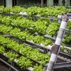 Vertical Farming Market