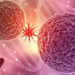 Natural Killer Cell Therapeutics Market Size, Trends, Opportunities, Forecast to 2032