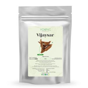 vijaysar