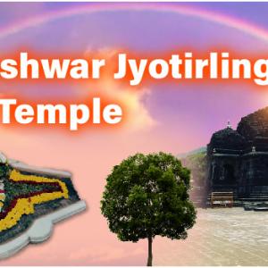 Benefits of Performing Kaal Sarp Dosh Puja on Nag Panchami Muhurta in Trimbakeshwar