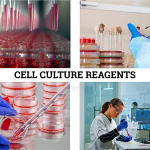 Cell Culture Reagents Market