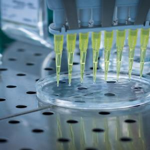 Multiplex Assays Market