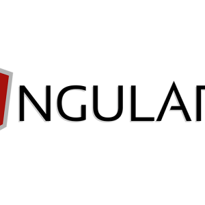 Angular JS Online Training Realtime support from Hyderabad