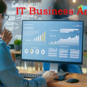IT Business Professional Certification & Training From India