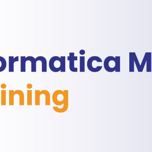 Informatica MDM (Master Data Management) Online Training IN India