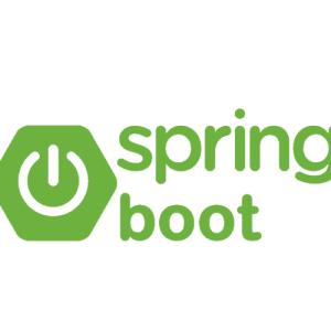 Spring Boot  Professional Certification & Training From India