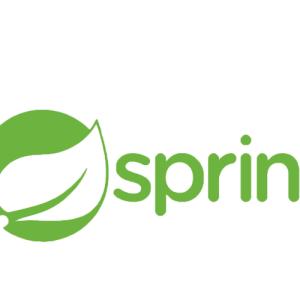 Spring Online Certification Training Course