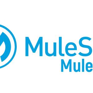 MuleSoft Online Training Viswa Online Trainings  In India