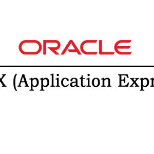 Oracle APEX (Application Express)Online Training From Hyderbad