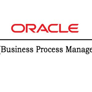 Oracle BPM Online Training  Online Course In India
