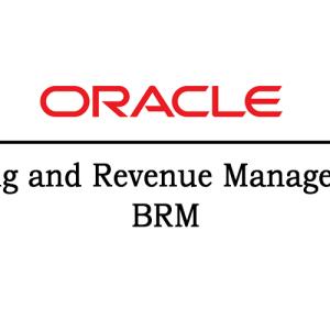 Oracle BRM Training Course | Oracle BRM Online Classes In India - VISWA Online Trainings