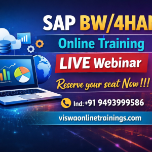 SAP BW4 Online Training Institute From Hyderabad India