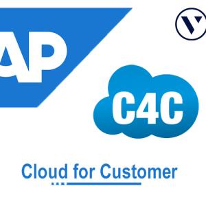 SAP C4C  Course Online Training Classes from India