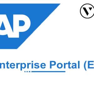 SAP EP Online Training By VISWA Online Trainings From Hyderabad India