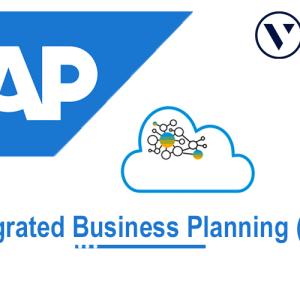 SAP IBP Training Course | SAP IBP Online Classes In India - VISWA Online Trainings