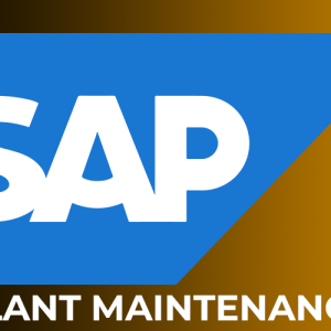 SAP PM Online Training Online Trainings Certification Course In Hyderabad