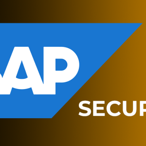 sap security Online Training Certification Course Hyderabad