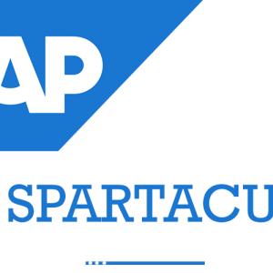 SAP Spartacus Online Training Classes In Hyderabad