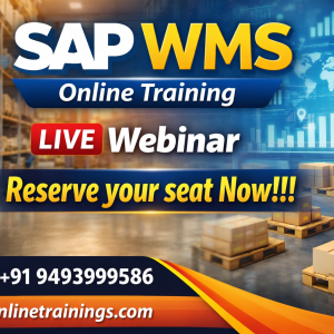 SAP WMS Online Training Institute From Hyderabad India