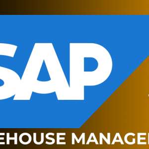 SAP WM Online Training Realtime support from Hyderabad