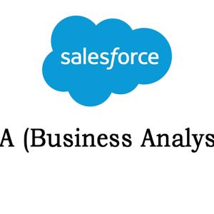 Salesforce BA Training from India | Best Online Training Institute