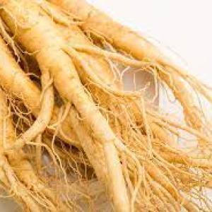 Decoding Ginseng Capsules Price in Pakistan: Factors, Variations, and Value
