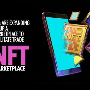 What are the popular NFT marketplace clone script available in the market?