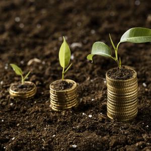 Can I Control Employee and Sub-Broker Access in the Top Mutual Fund Software in India?