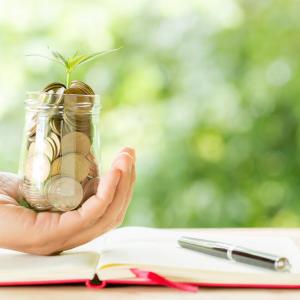 How To Save Time in Risk Profiling With Mutual Fund Software for Distributors?