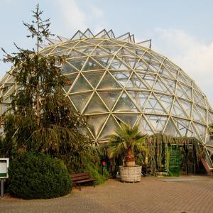 From Avid Gardeners to Commercial Growers: Find the Perfect Greenhouse for Sale