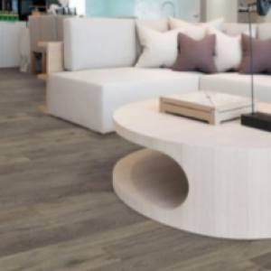 Procure the Exquisite Quality of Hardwood Flooring