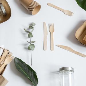 Eco-Friendly Plasticizers Market: Paving the Way for a Sustainable Future