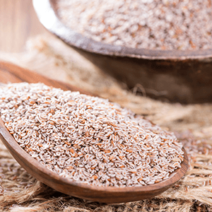 The Rising Demand for Psyllium Market: A Key Ingredient in Health and Wellness
