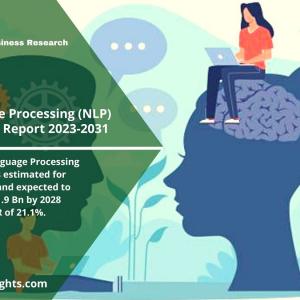 Natural Language Processing (NLP) Market Report Analysis by Reports and Insights